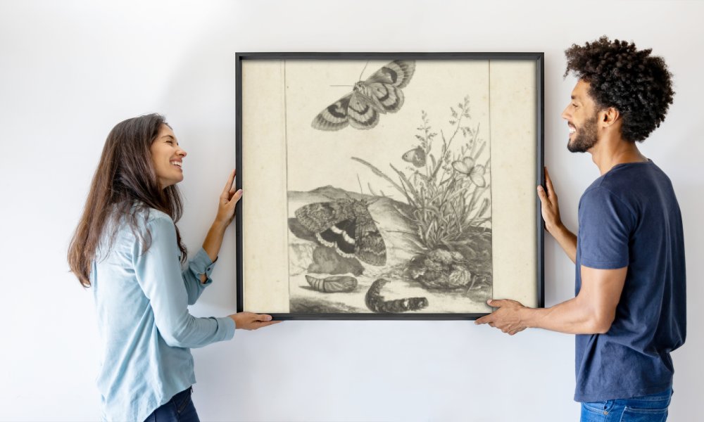 Jacob l'Admiral (II)