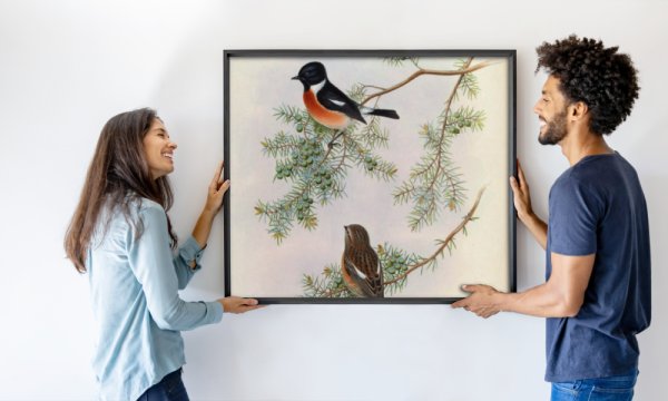 BirdsAsiaJohnGoIVGoul_0144.jpg
