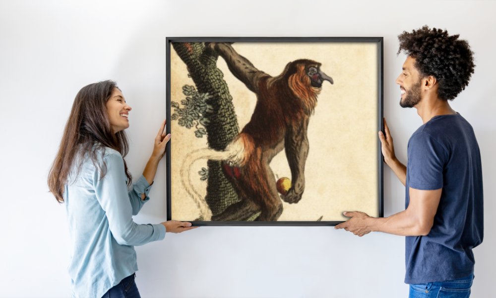 Johann Eberhard Ihle