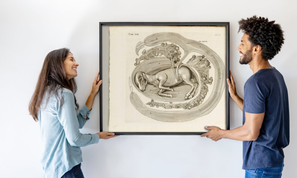 Hieronymus Fabricius ab Aquapendente