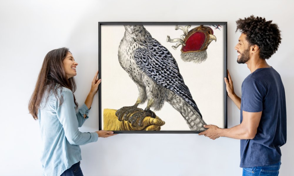 Georg Wolfgang Knorr