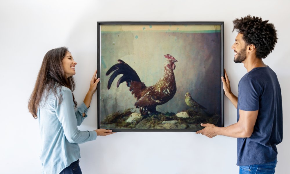 Louis Ducos du Hauron