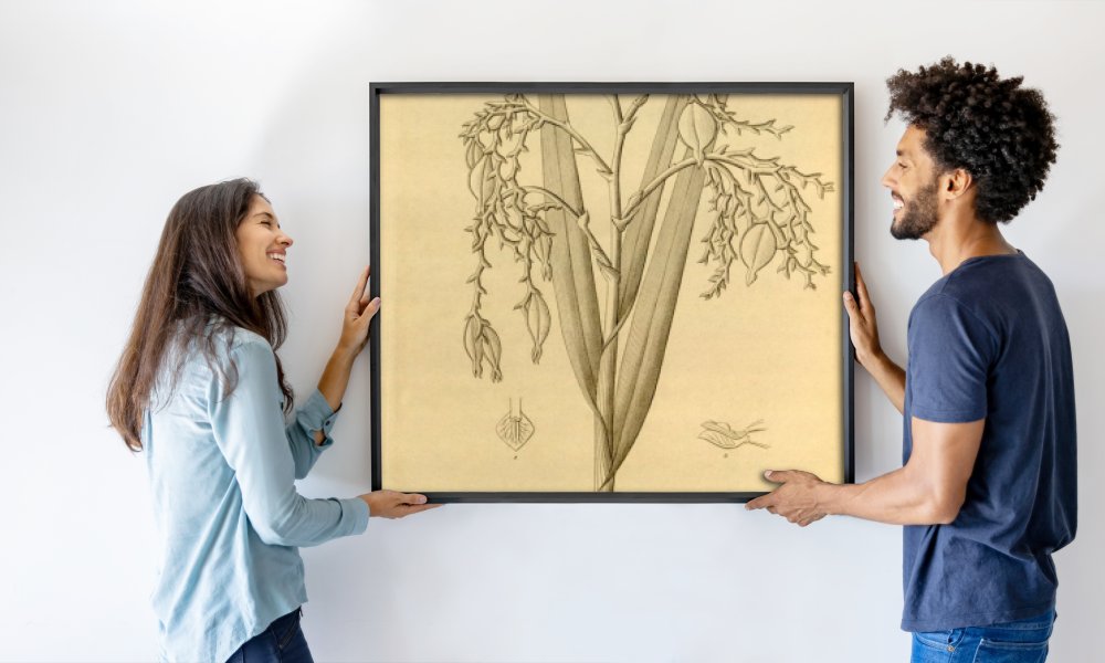 Heinrich Gustav Reichenbach