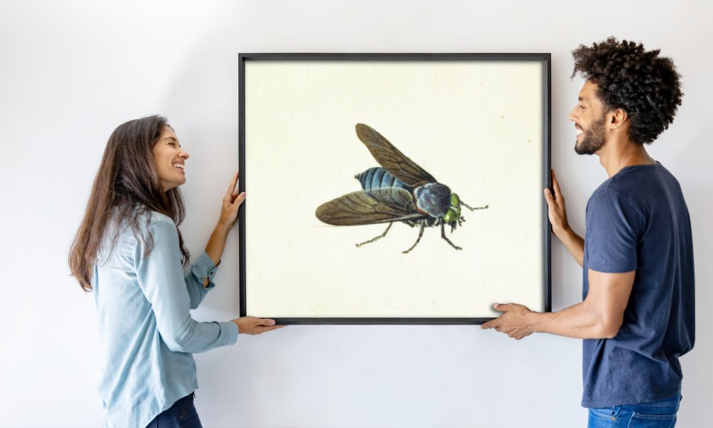 Georg Dionysius Ehret