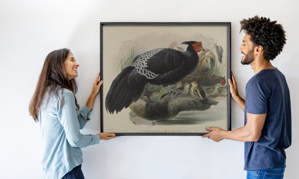 Daniel Giraud and Gould John Elliott