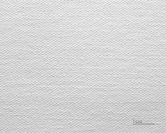 كانفاس ليوناردو (ساتان)