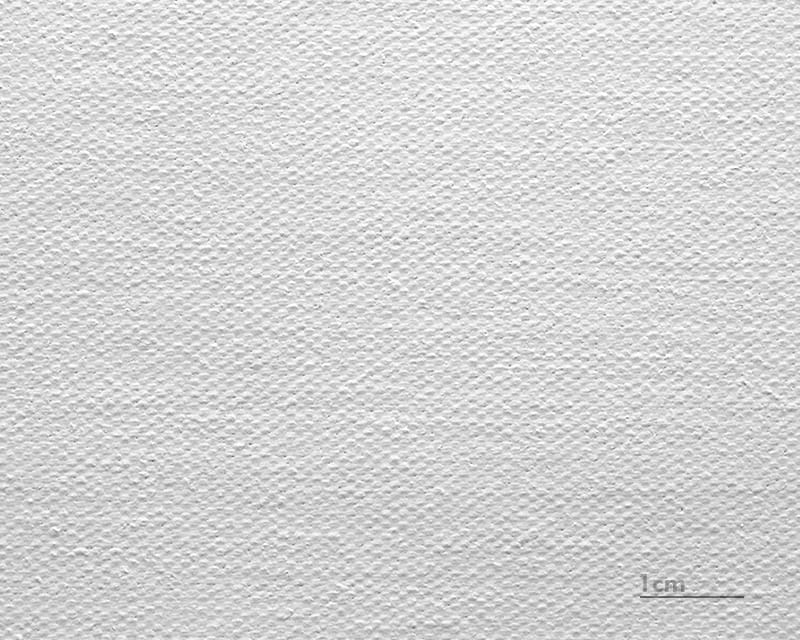 كانفاس ليوناردو (ساتان) (قماش فينيسيا)  1