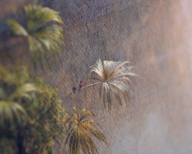 قماش رافائيل (ماتي) (Epson Premium Canvas Matte)  23