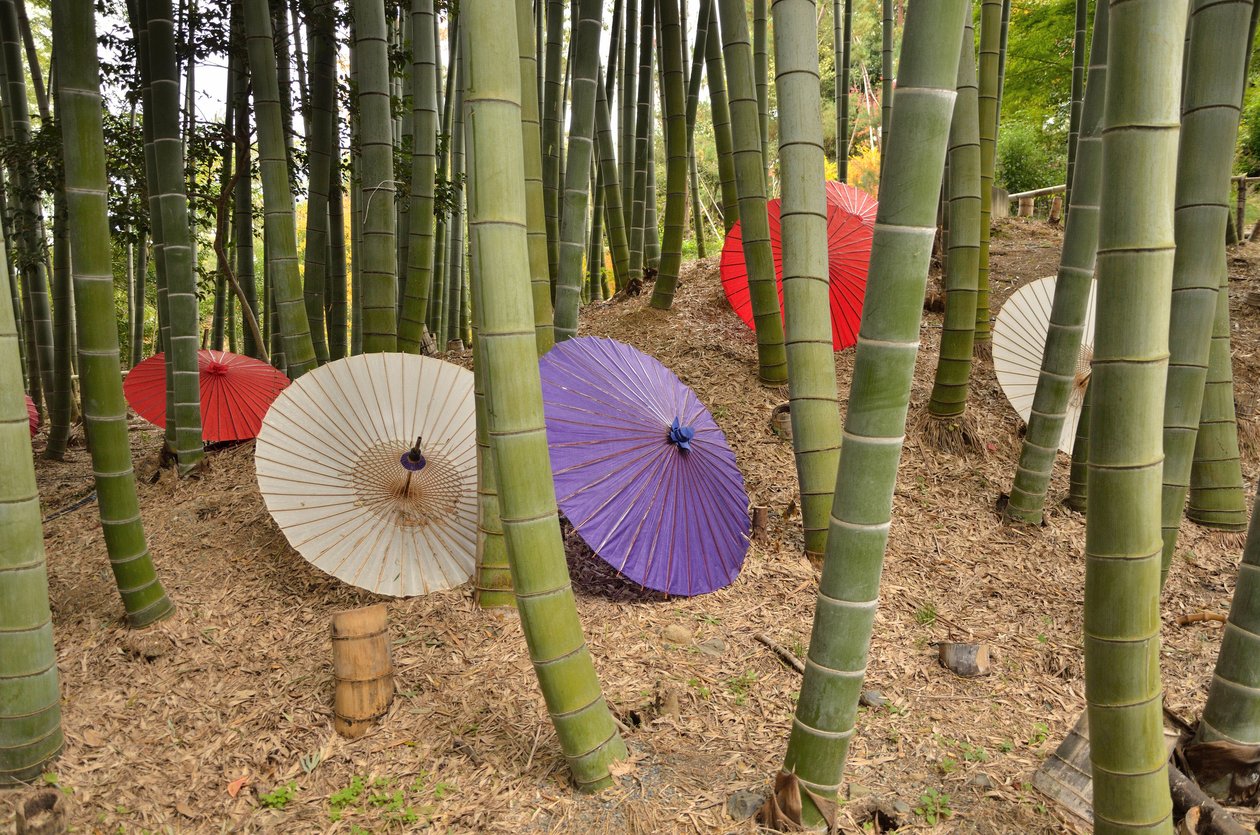 Kodai-ji أو Kodaijusho-Zenji-Kyoto (اليابان) - فترة إيدو - حديقة المشي المعبد البوذي مع البركة و karesansui (حديقة المناظر الطبيعية الجافة) - تأسست عام 1605 بواسطة Kita no Mandokoro (زوجة Toyotomi Hidey بواسطة غير معروف