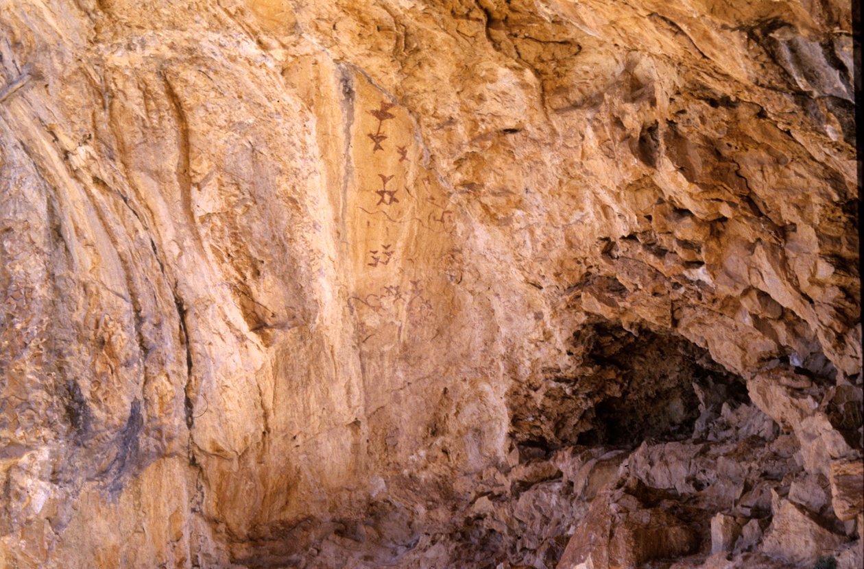 Los Letreros Cave ، بالقرب من فيليز بلانكو ، الأندلس ، 4000 قبل الميلاد ، لوحات الكهوف للطيور بواسطة غير معروف