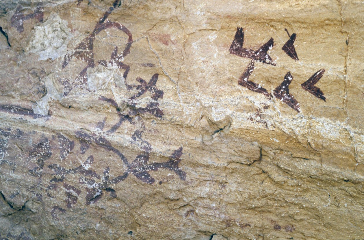 Los Letreros Cave ، بالقرب من فيليز بلانكو ، الأندلس ، 4000 قبل الميلاد ، لوحات الكهوف للطيور بواسطة غير معروف