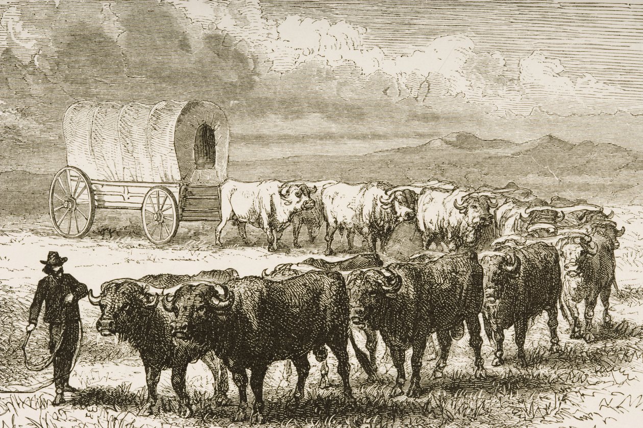 عربة بولوك تعبر السهول الكبرى بين سانت لويس ودنفر ، c.1870 ، من "الصور الأمريكية" ، نشرتها جمعية المسالك الدينية ، 1876 (النقش) بواسطة مدرسة اللغة الإنجليزية