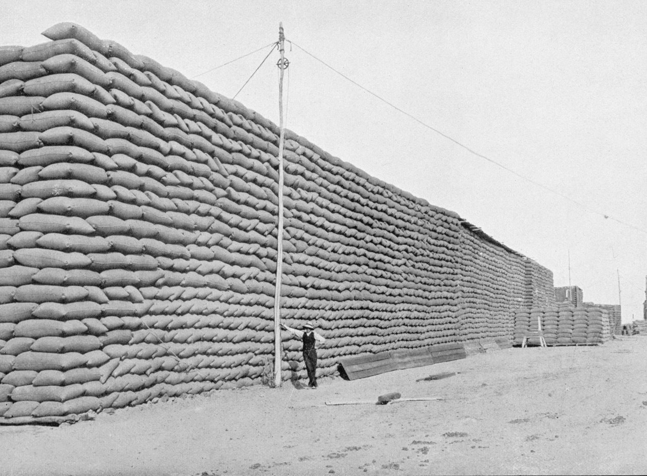 125000 كيس قمح في انتظار الشحنة ، جنوب أستراليا ، c.1900 ، من "تحت الصليب الجنوبي - لمحات من أستراليا" ، نشرته وزارة الشؤون الخارجية ، ملبورن ، 1908 (صور من وزن الجسم) بواسطة مصور استرالي