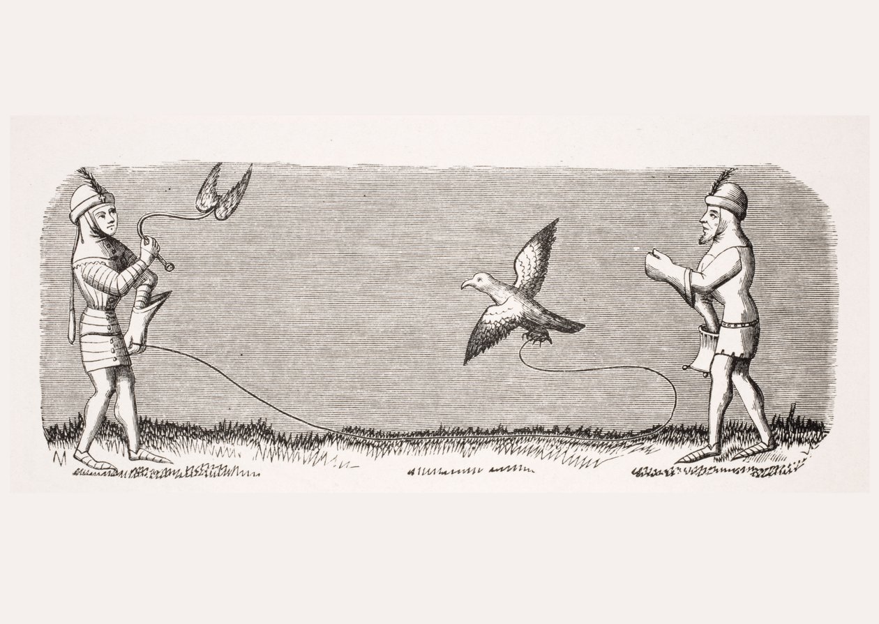 كيفية تدريب صقر جديد ، استنساخ صورة مصغرة في مخطوطة القرن الرابع عشر "Livre de Roy du Modus" بواسطة Henri de Ferrieres ، من "Le Moyen Age et La Renaissance" بواسطة Paul Lacroix (1806-84) حانة بواسطة المدرسة الفرنسية