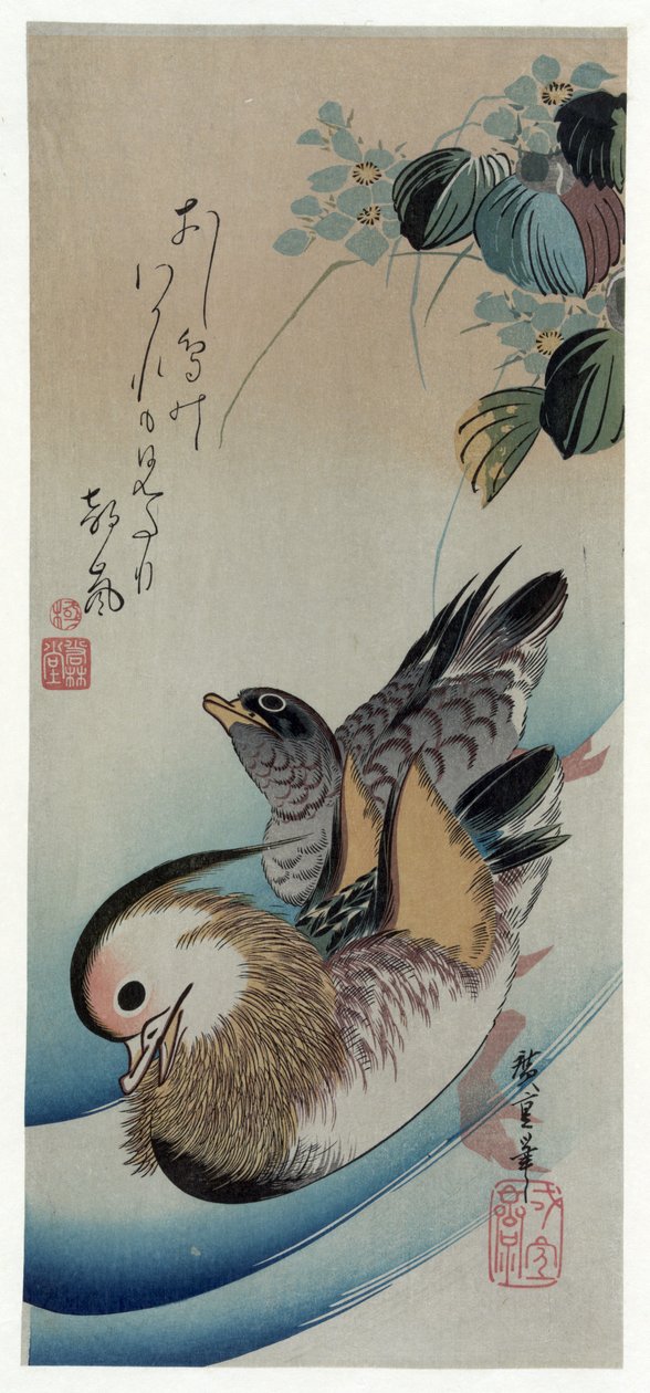 أوشيدوري (بط الماندرين) بواسطة Utagawa Hiroshige