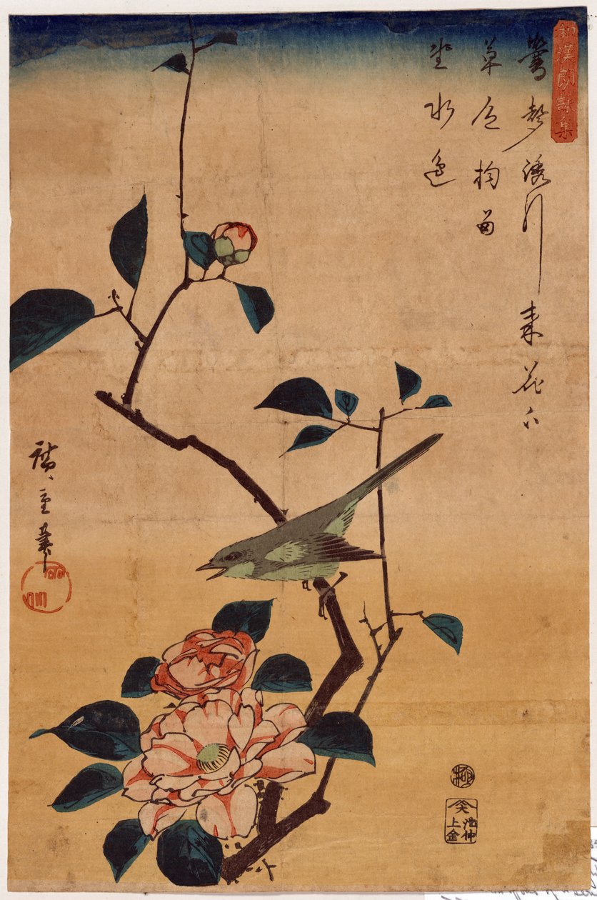Tsubaki ni Uguisu (كاميليا وبوش وربلر) بواسطة Utagawa Hiroshige