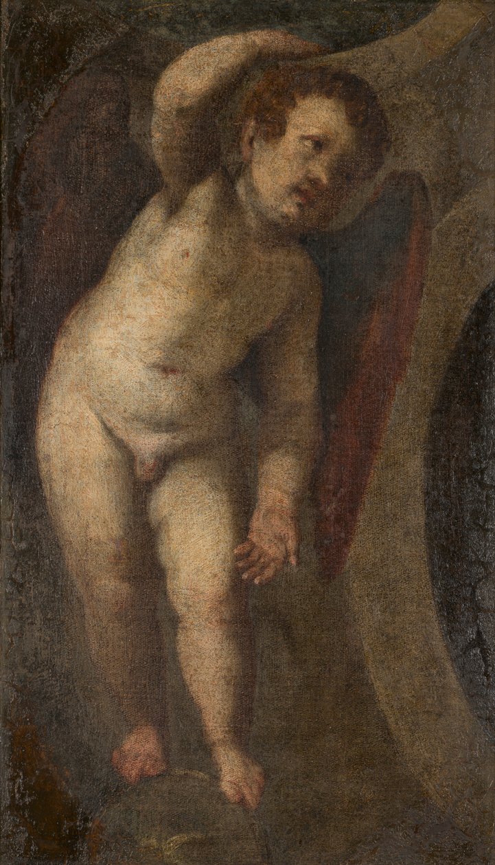 A Standing Putto، c.1548-88 (زيت على قماش) بواسطة فيرونيز