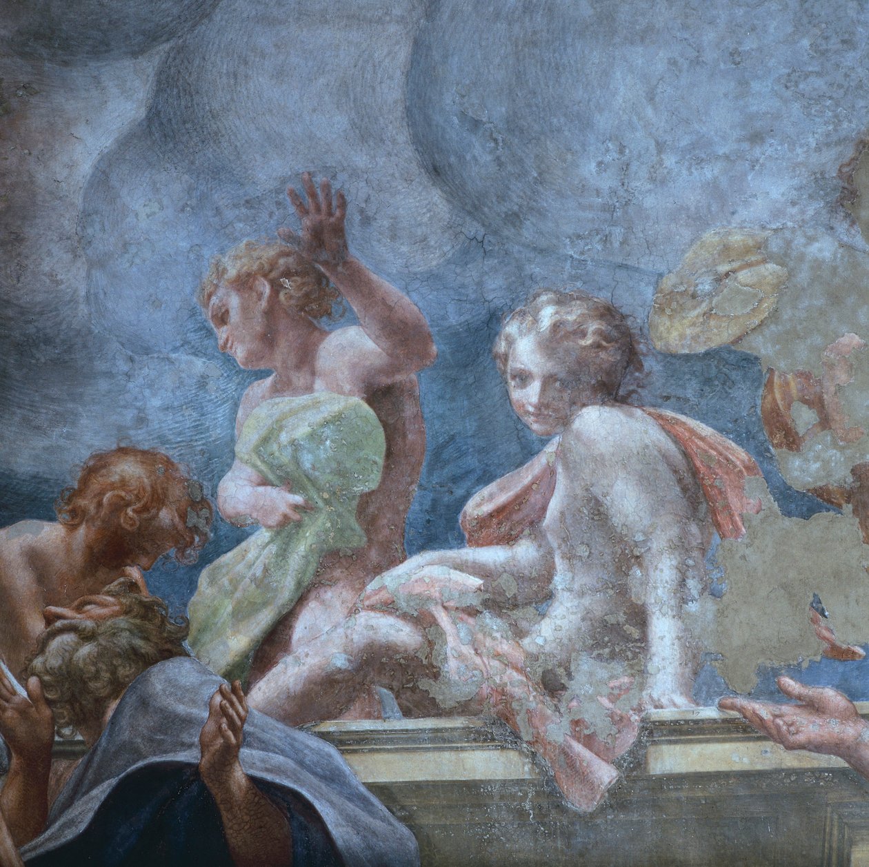 Adolescent, by Antonio Allegri Da Correggio (1489-1534), fresco, Dome of Parma Cathedral, Italy بواسطة (1489-1534) كوريجيو