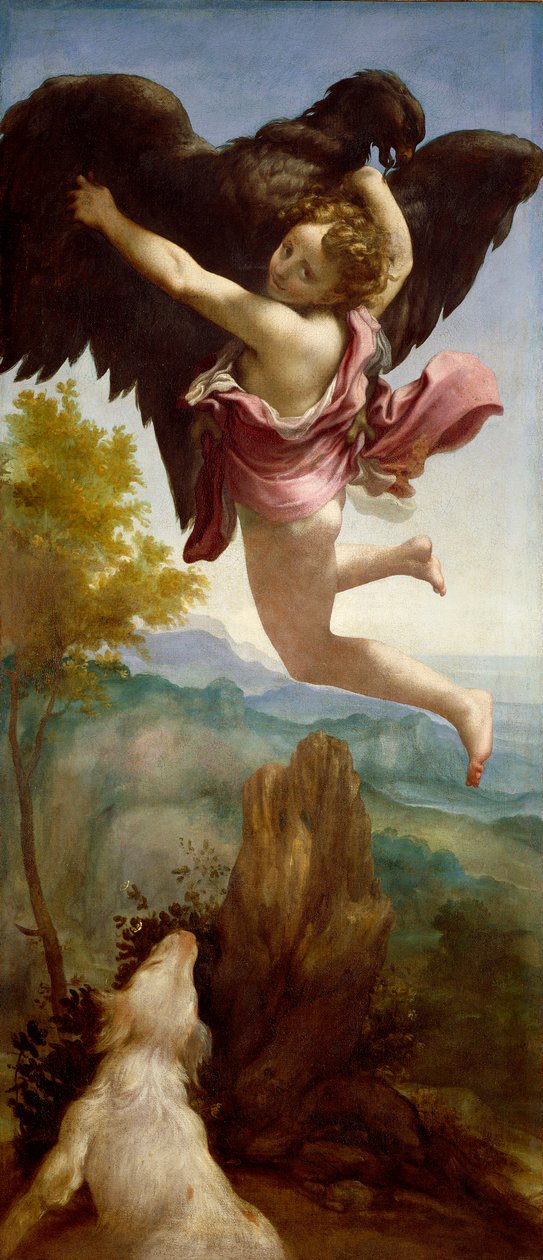 The Abduction of Ganymede بواسطة (1489-1534) كوريجيو