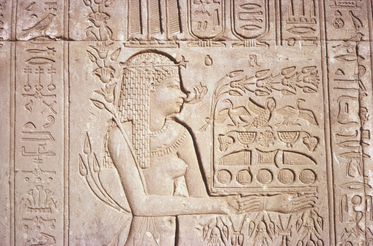 مصر ، Dendara ، منحوتات حائط معقدة على الجدار الشرقي في معبد حتحور. بواسطة غير معروف