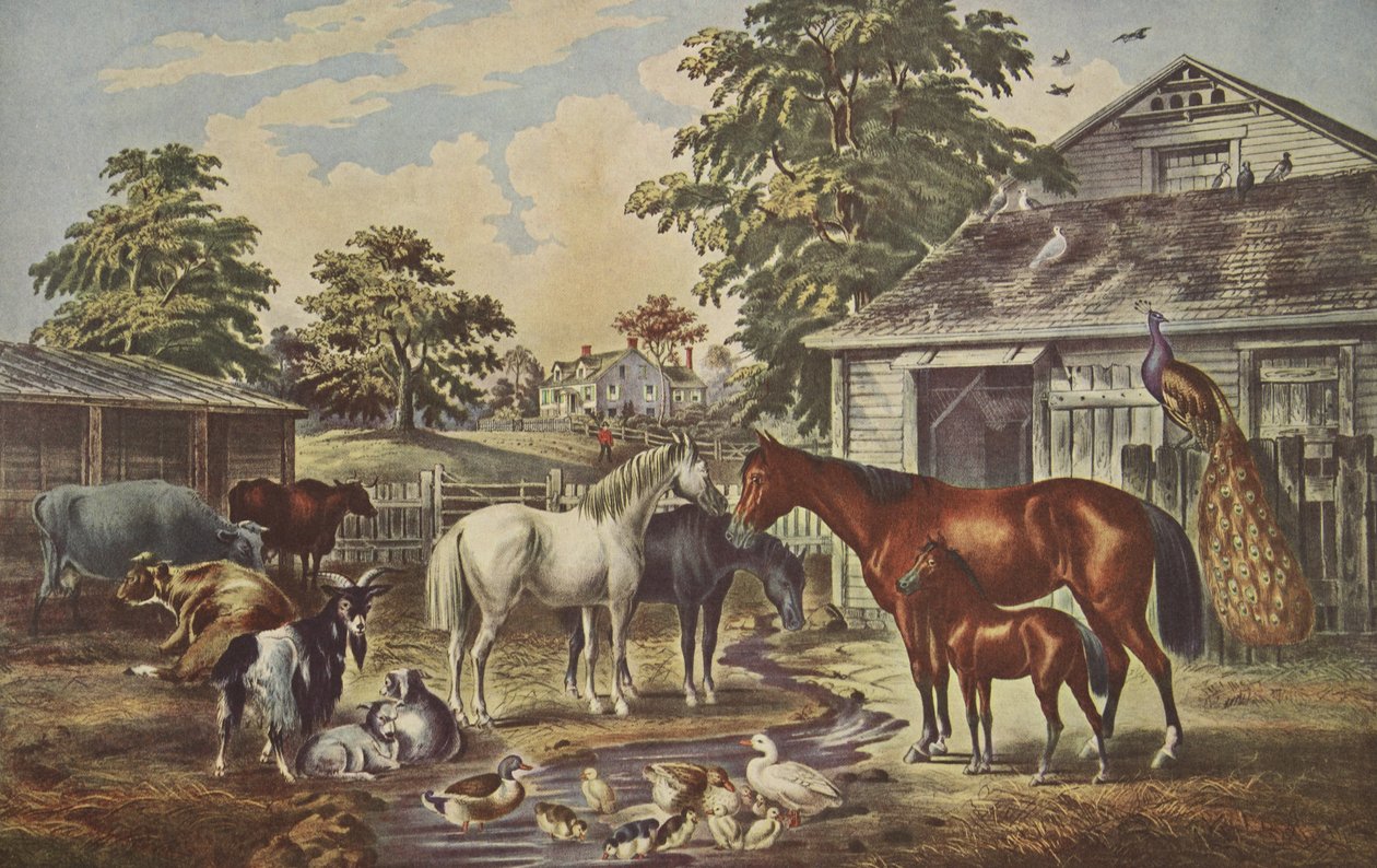 American Farm Yard - صباح ، حانة. 1857 ، كورير وإيفز بواسطة المدرسة الأمريكية