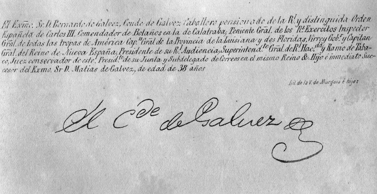 توقيع برناردو دي جالفيز (1746-86) (التفاصيل 242187) بواسطة المدرسة الأمريكية