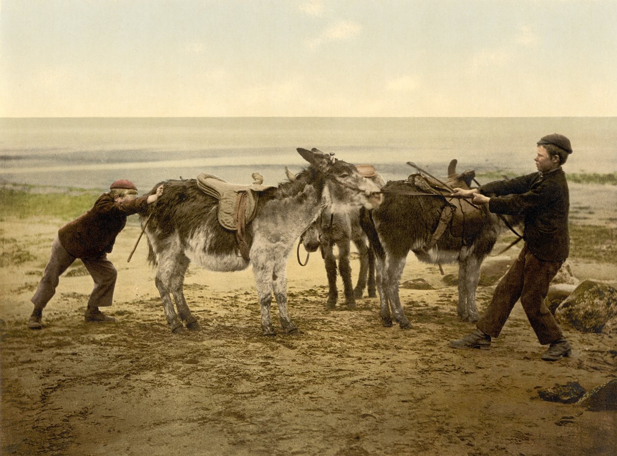 الحمير على الشاطئ ، حانة. c.1890-1900 (الطباعة الحجرية الملونة) بواسطة مصور انجليزى