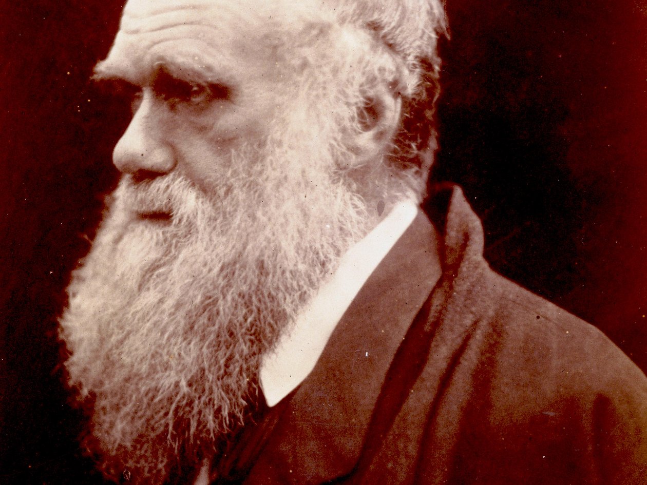 صورة تشارلز داروين ، 1859 بواسطة مصور انجليزى