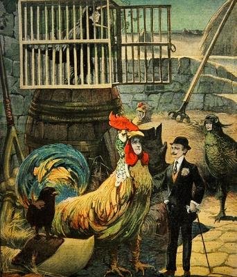 Chantecler ، مسرحية شعرية بواسطة إدموند روستاند ، غلاف لو بيتيت جورنال ، 30 يناير 1910 بواسطة المدرسة الفرنسية