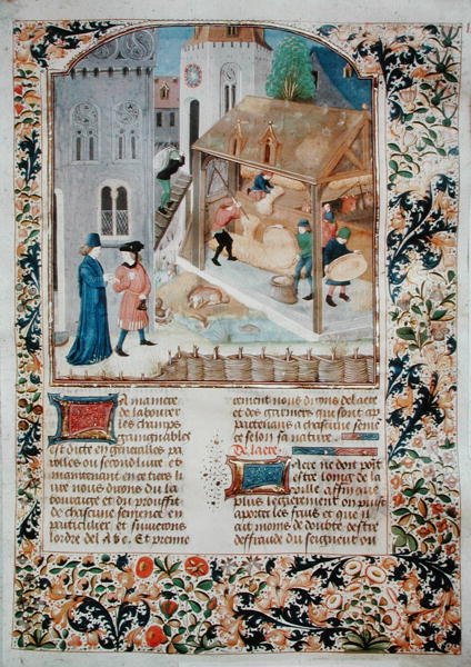 السيدة 5064 fol.35r الدرس ، من Livre des Prouffitz Champestres للكاتب Pietro de Crescenzi (1230-132021) بواسطة المدرسة الفرنسية
