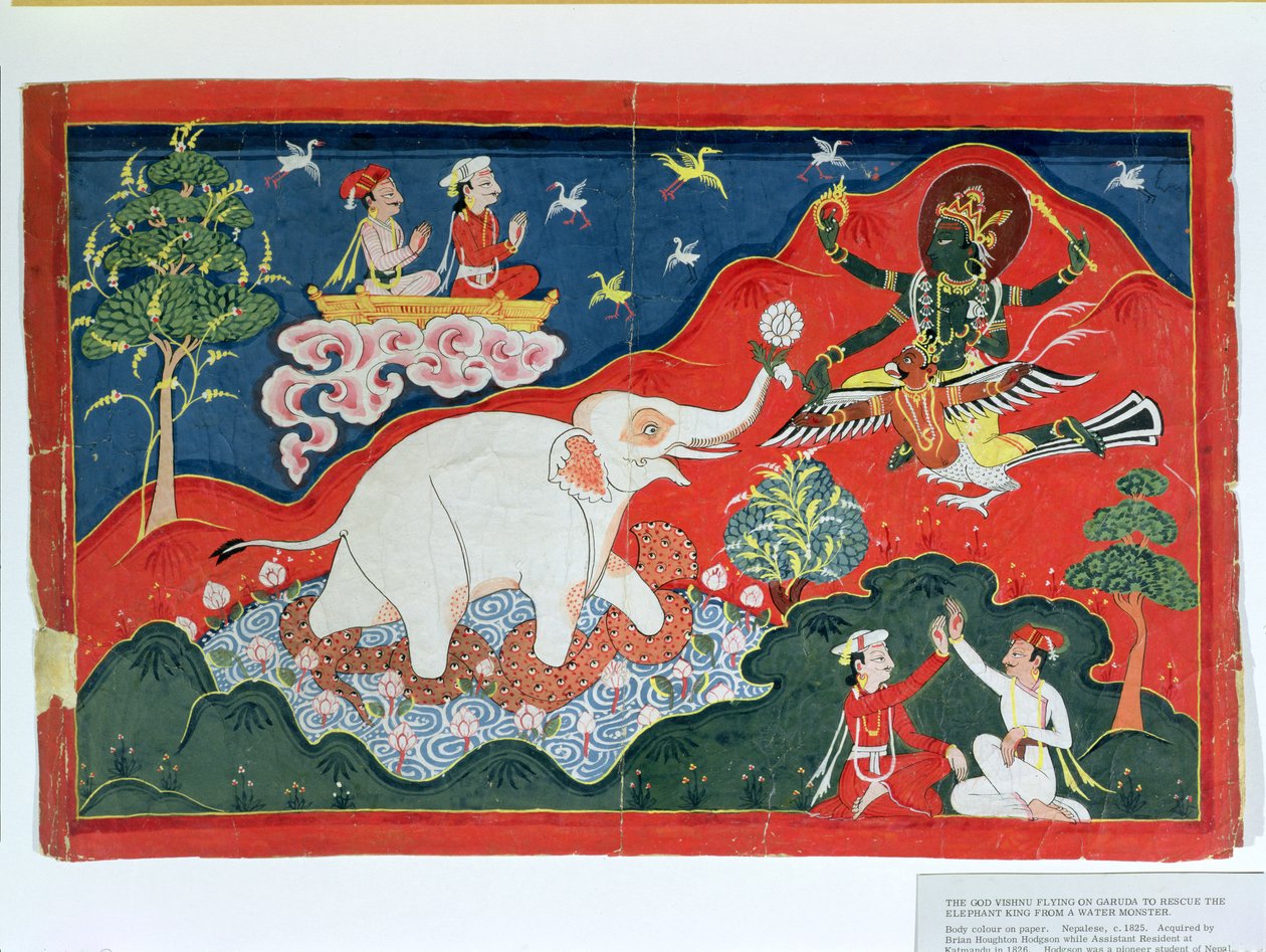 الإله فيشنو يطير على جارودا لإنقاذ ملك الفيل من وحش الماء ، النيبالية ، c.1825 بواسطة المدرسة الهندية