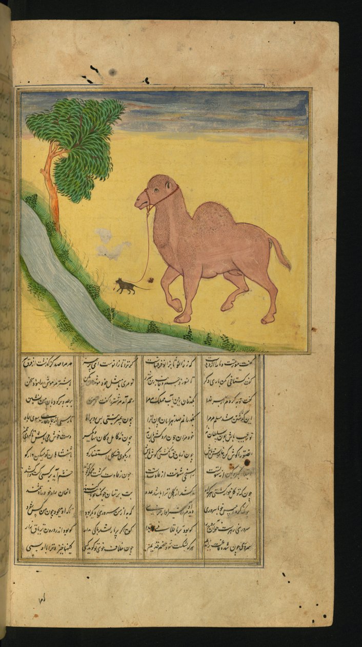 فأر ، يمسك بزمام جمل ، في مجرى مائي ، رسم توضيحي من مجموعة من القصائد ، لجلال الدين الرومي ، 1663 (حبر وصبغات على الورق) بواسطة المدرسة الفارسية