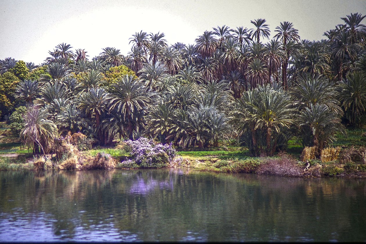  بواسطة ديتليف ب. فيشر