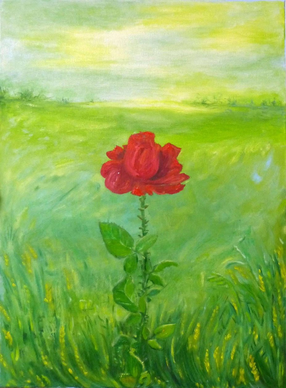 روز بواسطة 