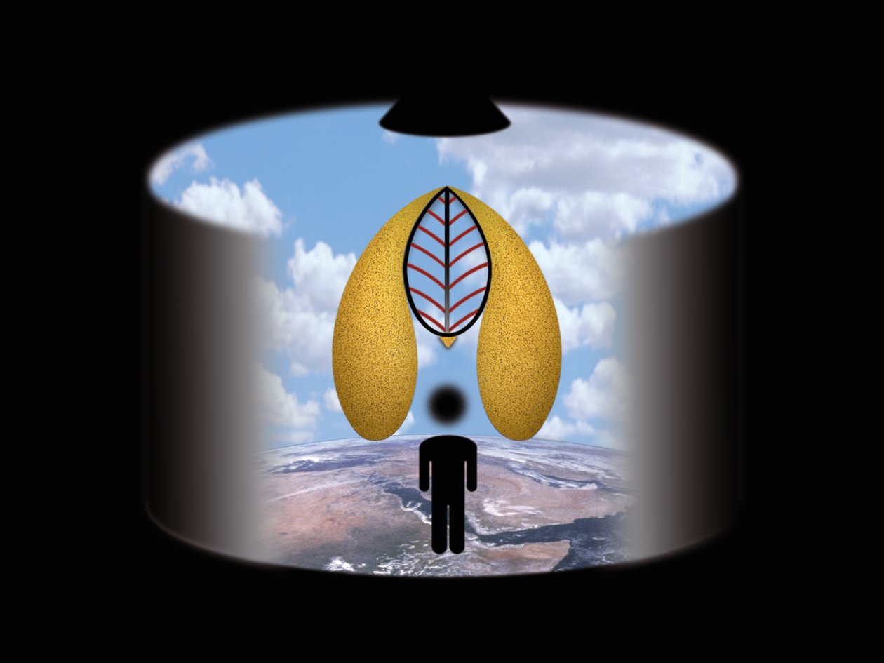  بواسطة 