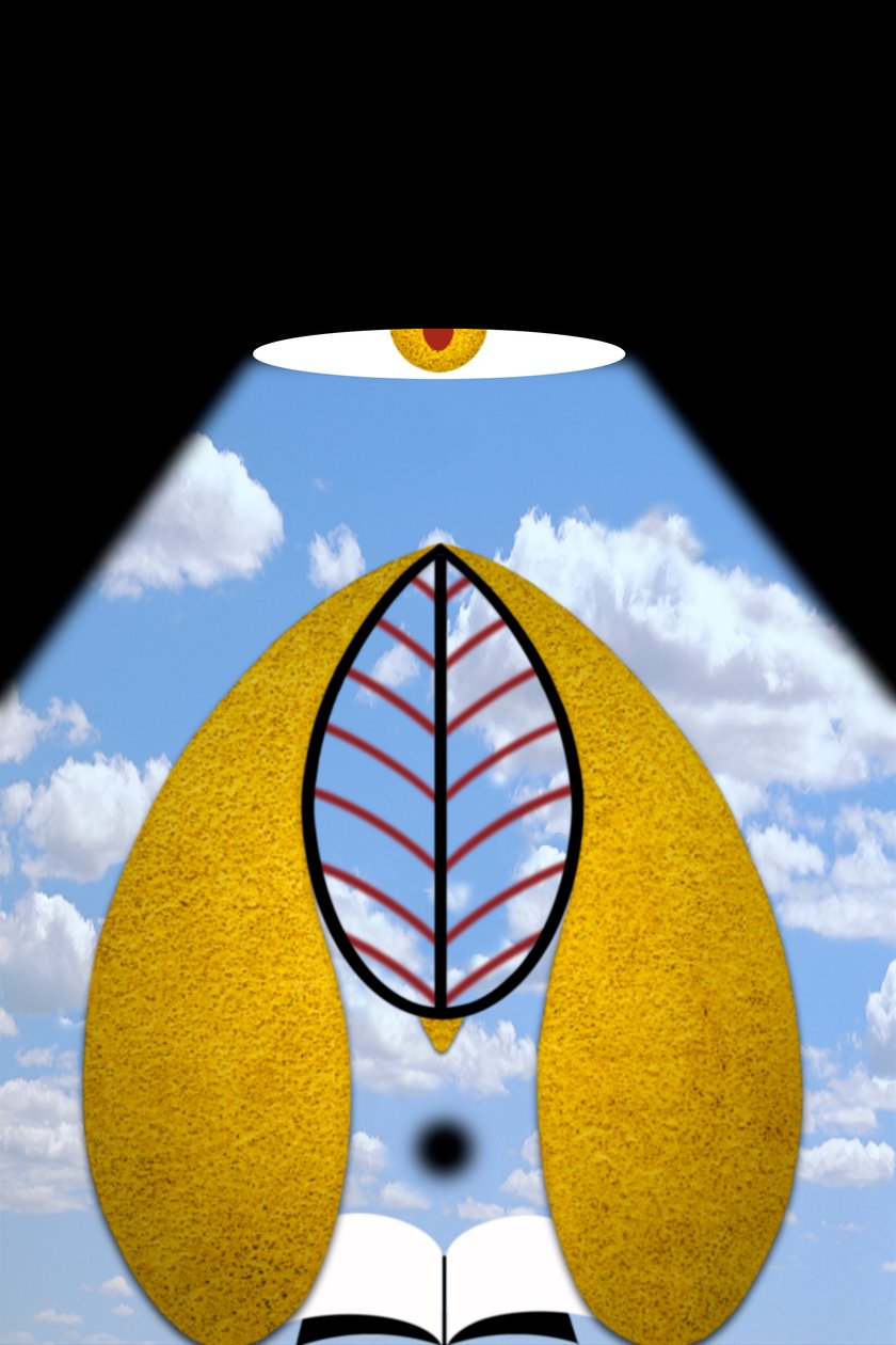 التنوير V (نور العالم II) بواسطة 
