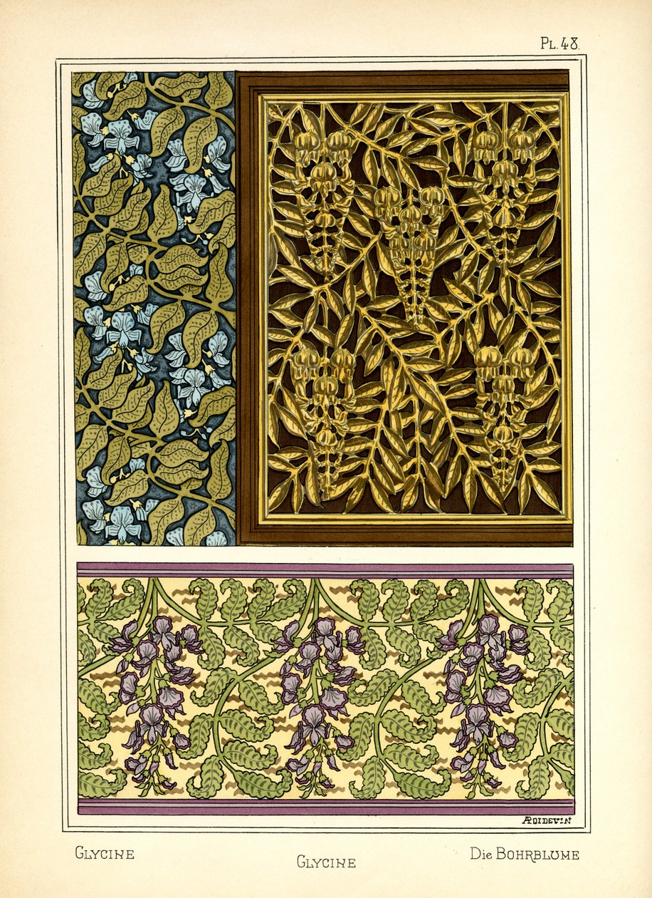 الجلايسين بواسطة A. Poidevin