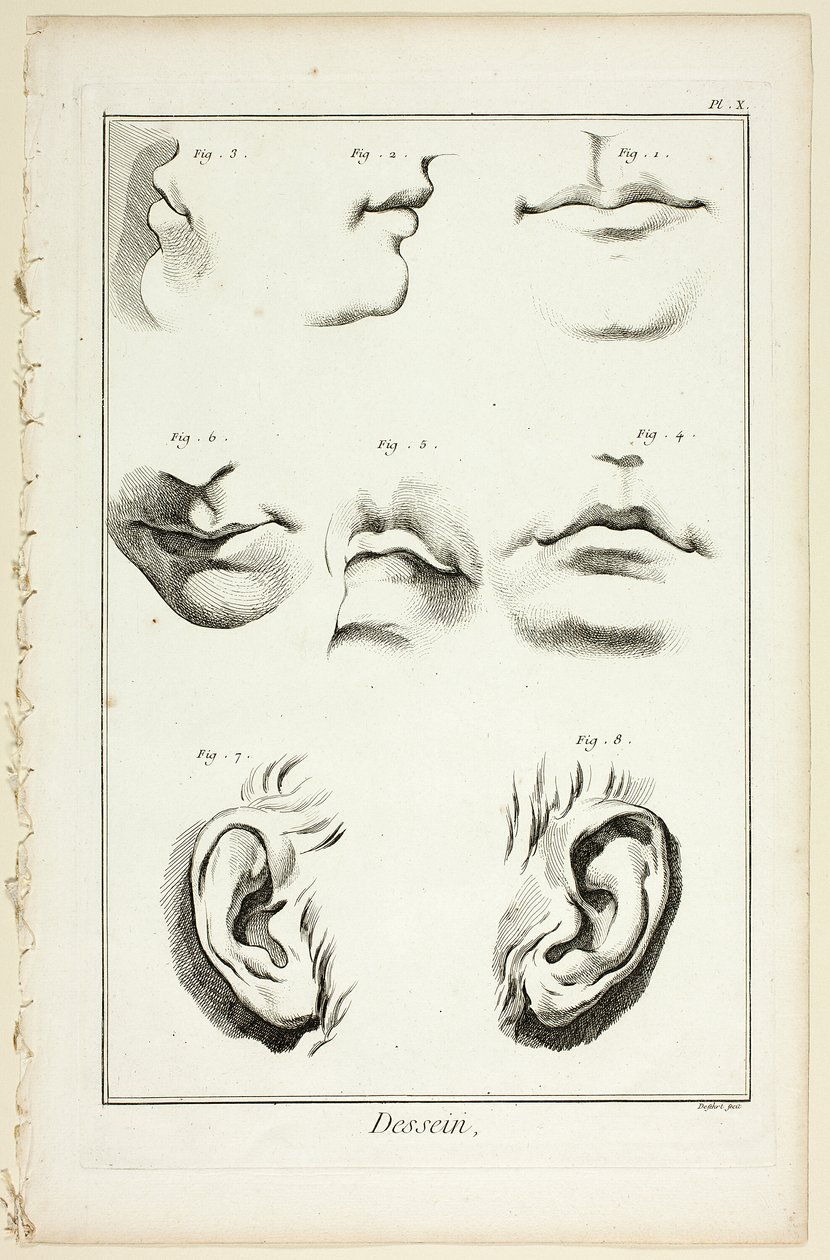 التصميم: تشريح الوجه من Encyclopédie بواسطة AJ انشق