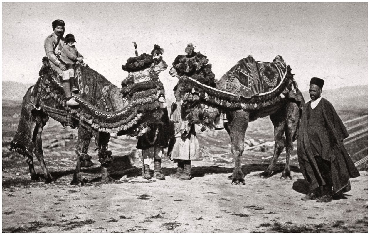 الحجاج مع جمالهم في طريقهم إلى كربلاء ، العراق ، 1925 بواسطة كريم
