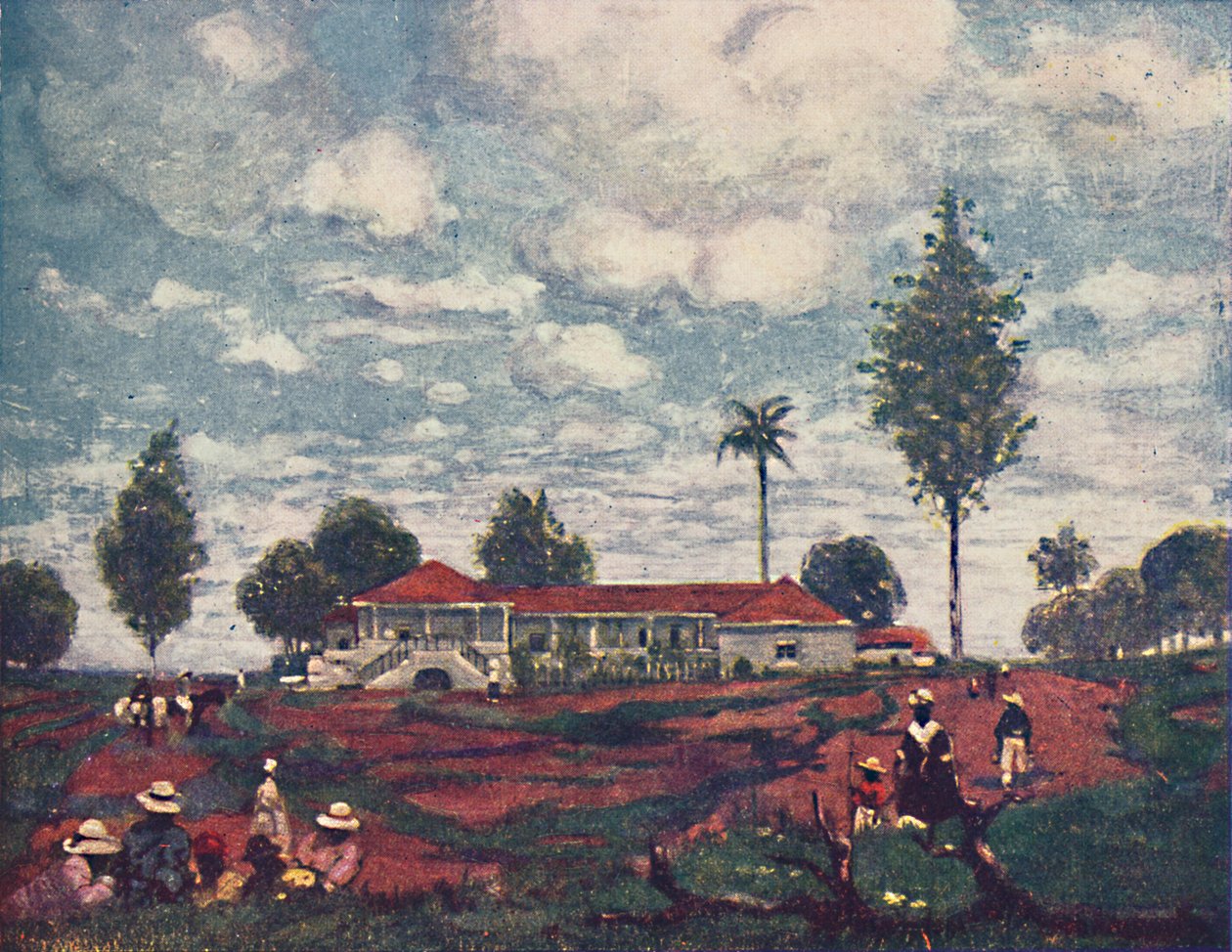 قهوة فازيندا ، 1916 بواسطة AS فورست