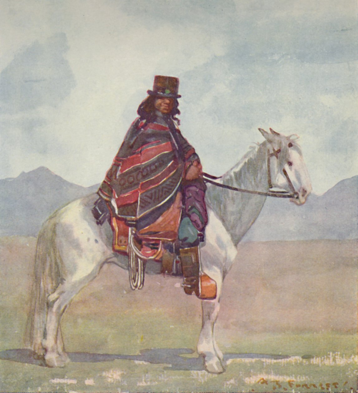 هندي أروكي ، 1916 بواسطة AS فورست