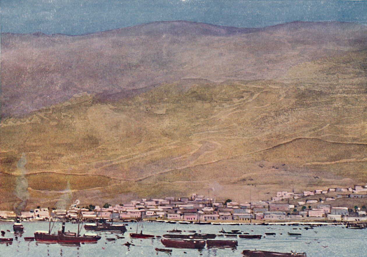 أريكا ، 1916 بواسطة AS فورست