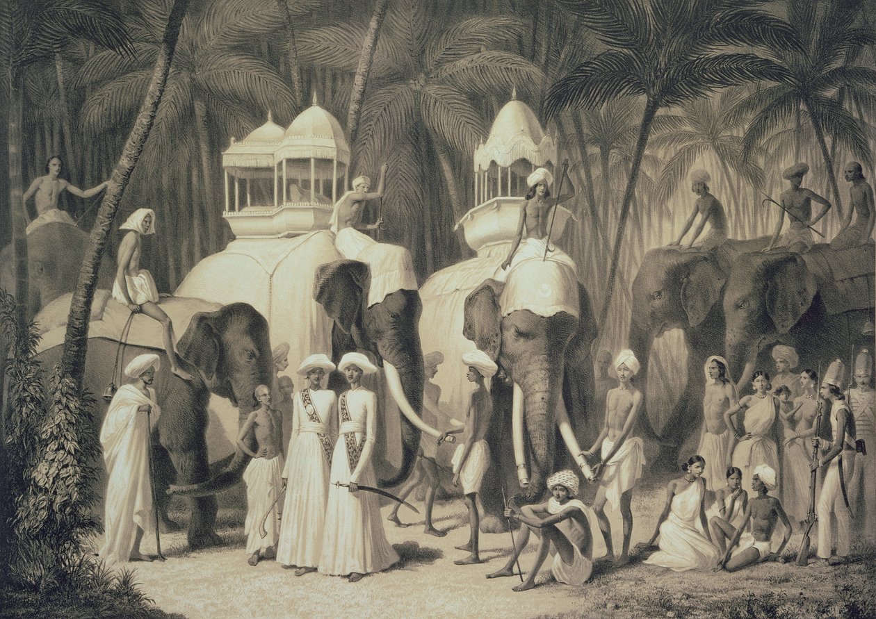 فيلة رجا ترافاندروم ، من "رحلة في الهند" ، نقشها لويس هنري دي رودر (1807-81) بواسطة أ. سولتيكوف