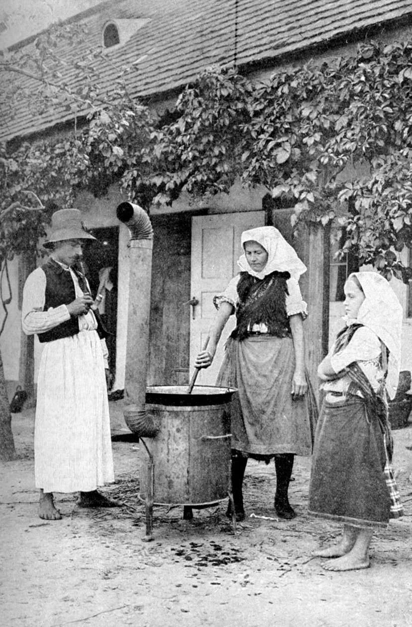 صنع الهلام في تشينكوتا ، المجر ، 1922. بواسطة AW كاتلر