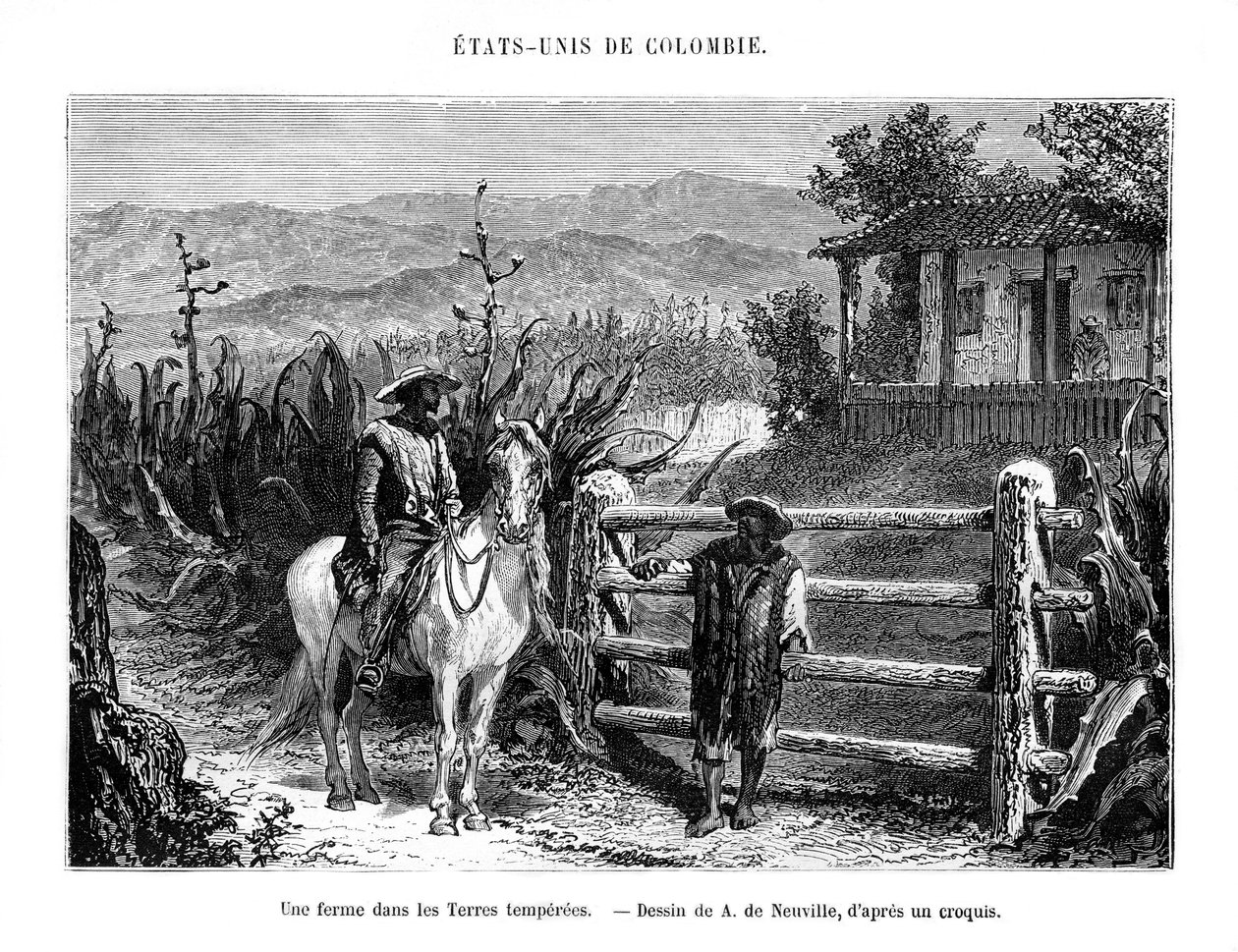 مزرعة ، كولومبيا ، أمريكا الجنوبية ، القرن التاسع عشر بواسطة A. de Neuville