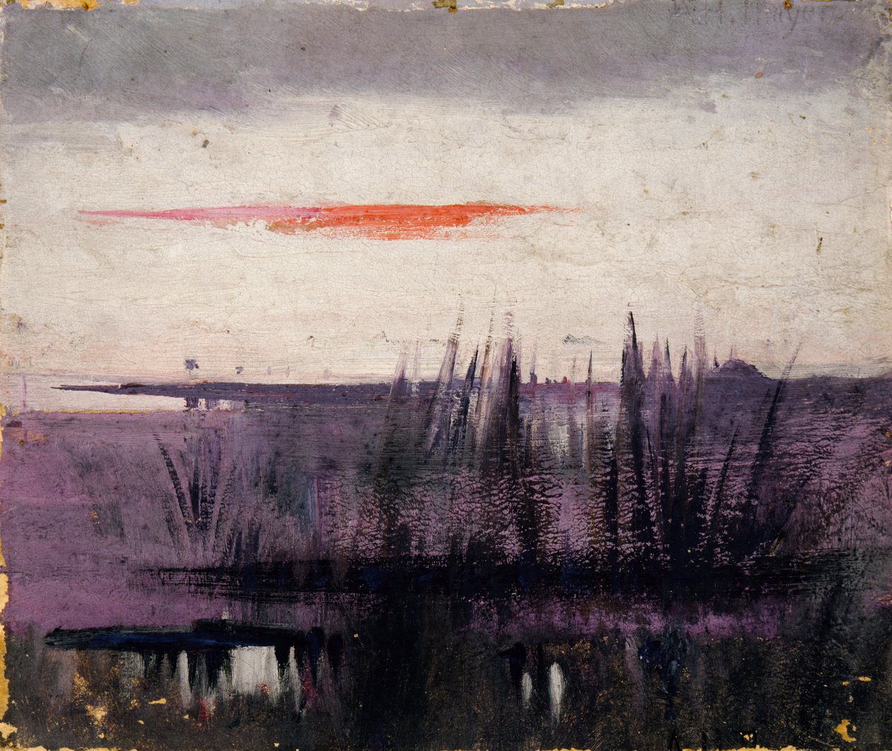 The Sky Simulated by White Flamingoes دراسة للكتاب ... ، في مملكة الحيوان ، كاليفورنيا. 1905-1909. بواسطة أبوت هاندرسون ثاير