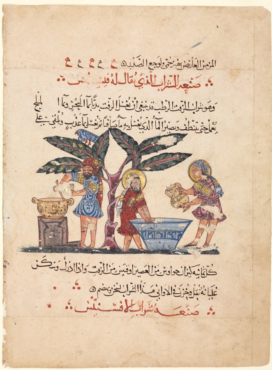 فوليو من ترجمة عربية لكتاب ديوسكوريدس Materia Medica بواسطة عبد الله بن الفضل (العراق)