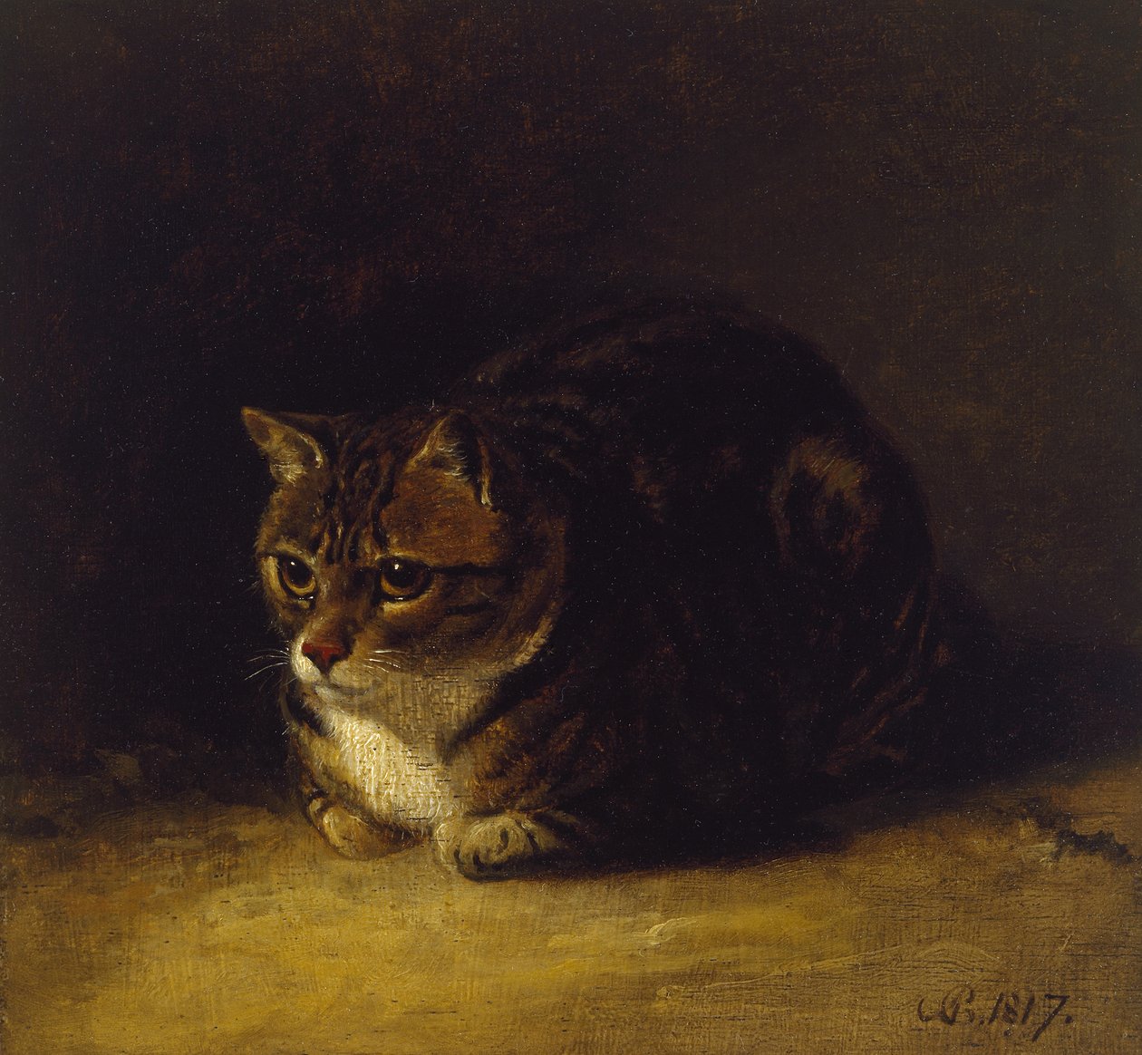 دراسة لقط ، 1817 (زيت على لوحة ، مثبتة كرسم) بواسطة ابراهام كوبر