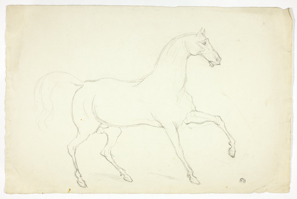 فحل الخيل بواسطة ابراهام كوبر
