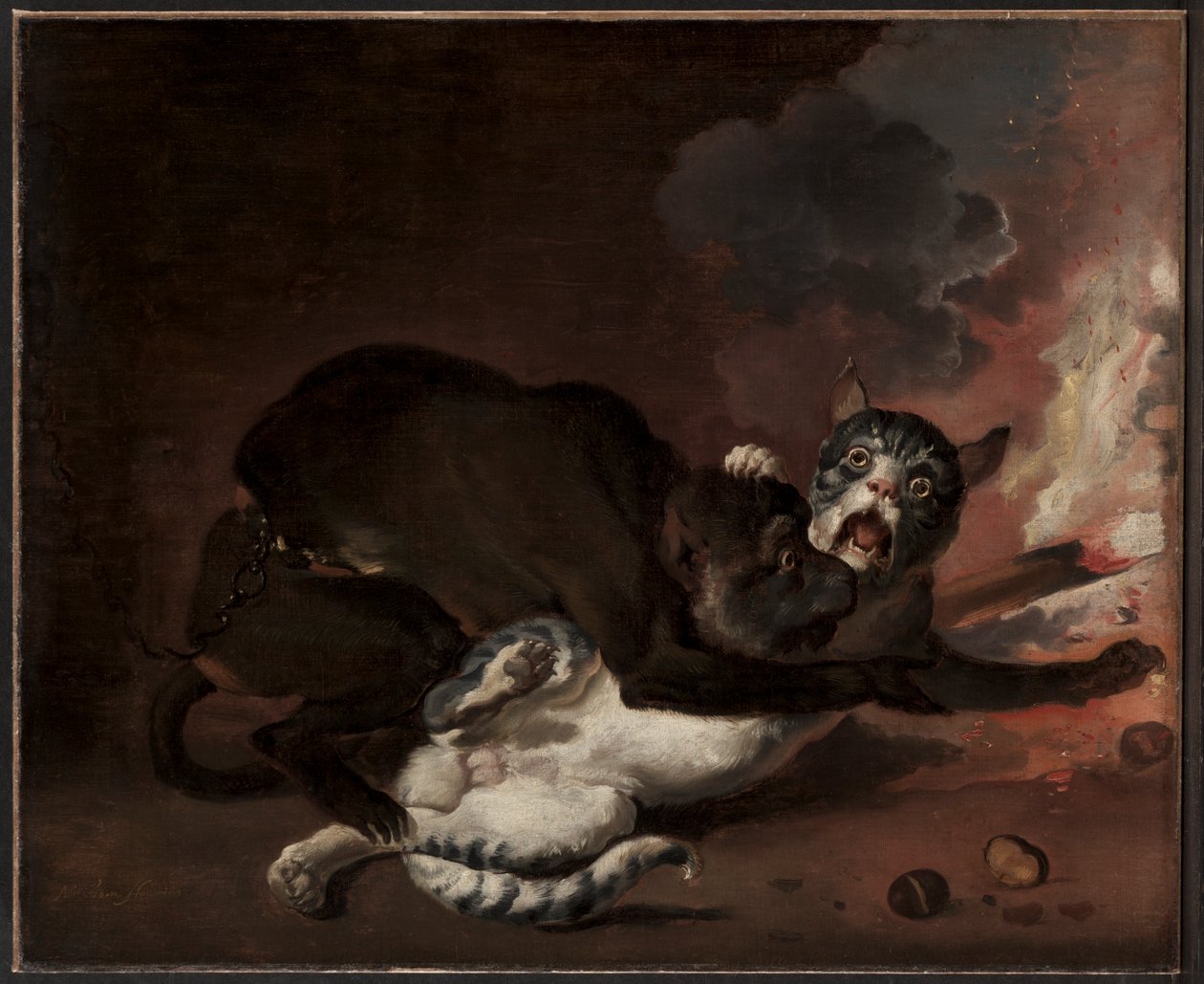القرد والقط ، ربما 1670 (زيت على قماش) بواسطة أبراهام دانيلز. هونديوس